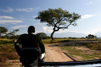 game tracking near kruger national park