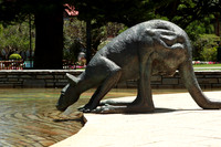 kangaroo statue in downtown perth