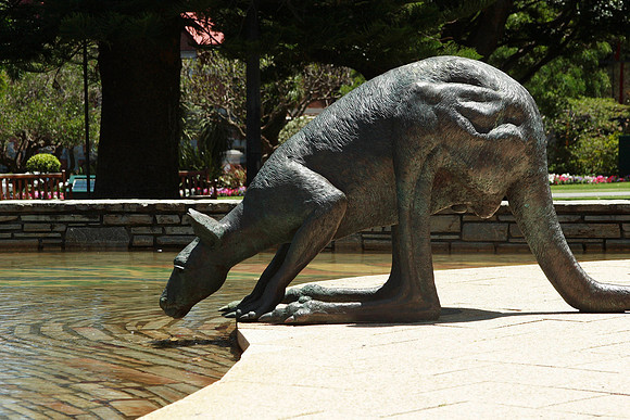 kangaroo statue in downtown perth