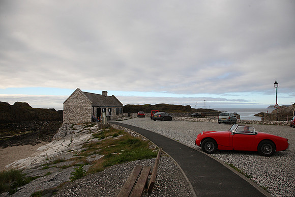 Heatly at the Giants Causeway