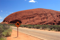 watch out for kangaroos around ayers rock (we didn't see any)