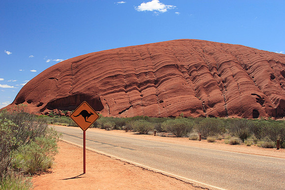 watch out for kangaroos around ayers rock (we didn't see any)