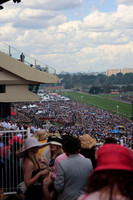 melbourne cup day crowd