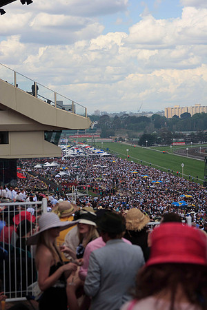melbourne cup day crowd