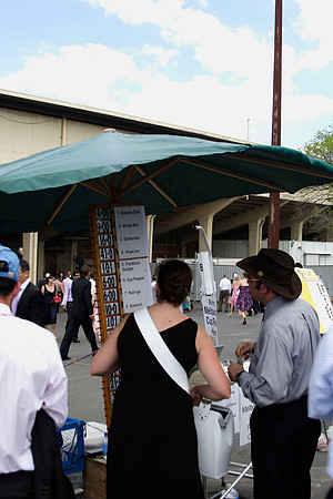 odds board for the melbourne cup