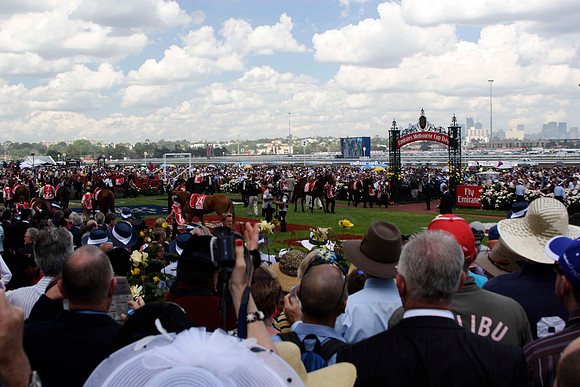 mounting yard at flemington race track
