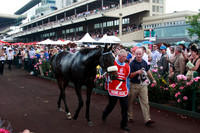 melbourne cup loser