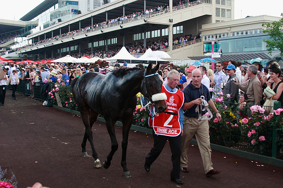 melbourne cup loser