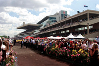 waiting for the triumphant makybe diva