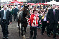 makybe diva - melbourne cup winner