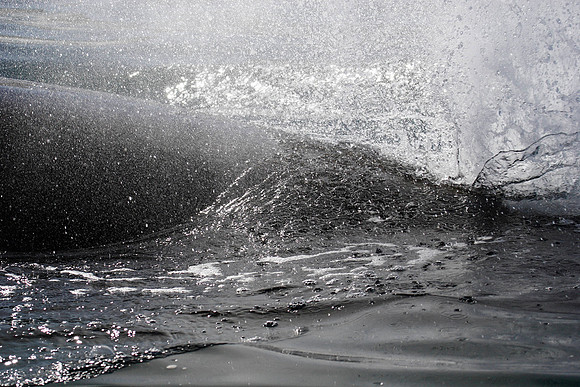 the blow from a brydes whale
