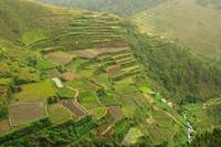 multi patterned terraces