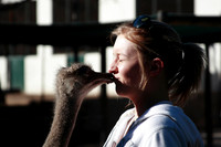 sally kissing an ostrich