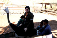 rick sitting on an ostrich, he was actually too heavy to ride it so only sitting was allowed.