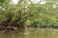 the boatride upriver to the caves