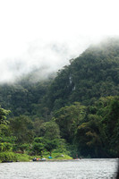 the river leading into the jungle