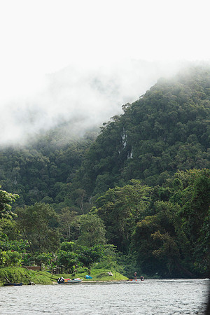 the river leading into the jungle
