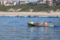 kayaking with dolphins in the bay