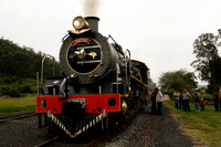 taking the choo choo train from kynsa to george