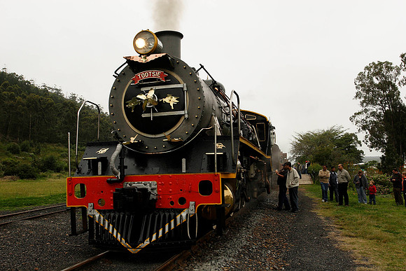 taking the choo choo train from kynsa to george