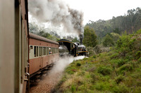 the old steam train chugging along - choo choo!!