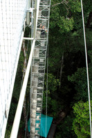 make sure your not afraid of heights if you do the canopy walk