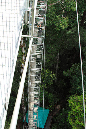 make sure your not afraid of heights if you do the canopy walk