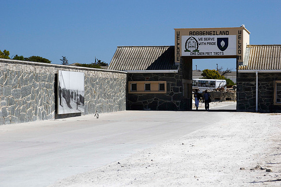 a lonely penguin trying to escape from robben island prison