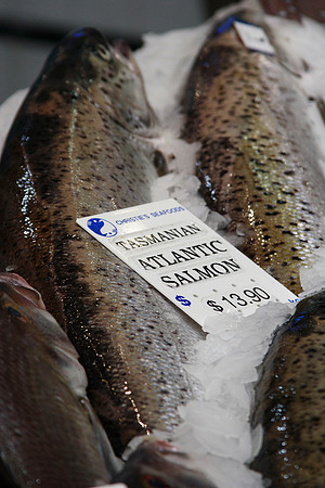 Tasmanian salmon at the fish market