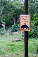you had to watch out for hippos at night no matter where you were