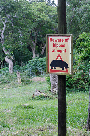 you had to watch out for hippos at night no matter where you were