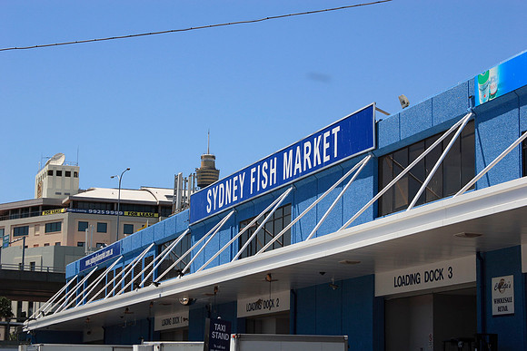 Sydney fish market