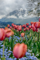 _DSC2173_HDR