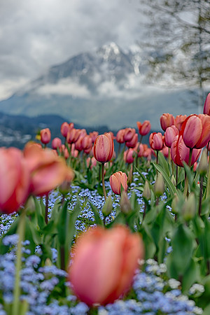 _DSC2173_HDR