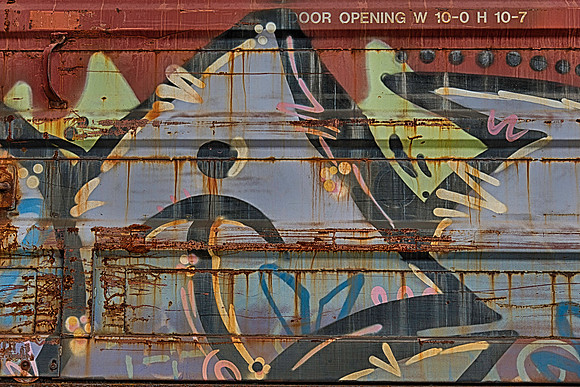 _DSC3743