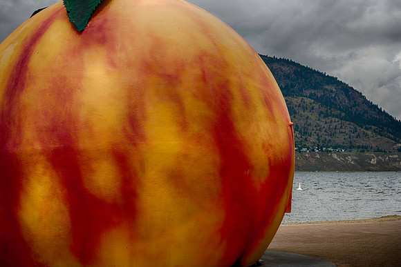 _DSC3687