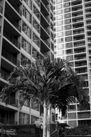 DSCF0271