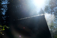 DSCF3178