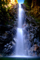 DSCF3229