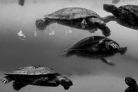 DSCF0246
