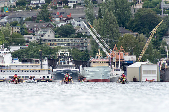 _DSC8571