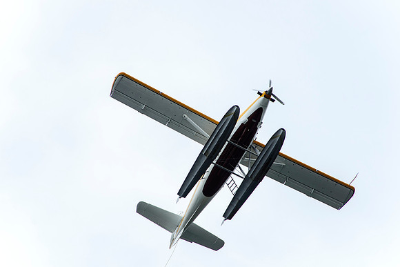 _DSC8432