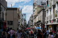 DSCF4727