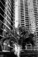 DSCF0272