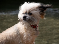 DSCN1000
