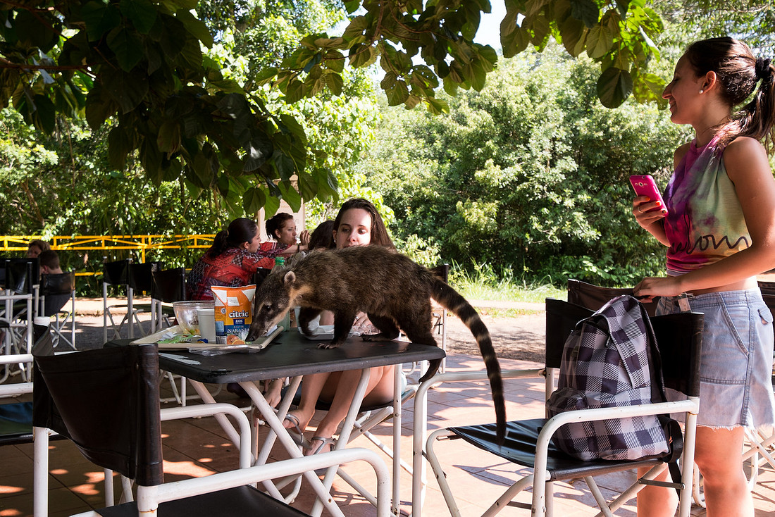 DSCF4184